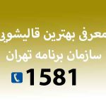 معرفی بهترین قالیشویی سازمان برنامه تهران